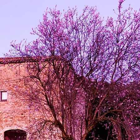 贝尔达El Castell De Seguero公寓 外观 照片